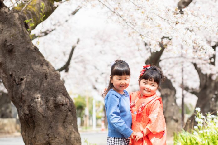 大好きなお姉ちゃんと。桜の下で3歳七五三出張撮影。