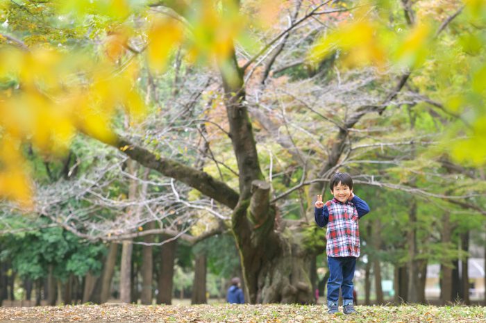 代々木公園家族写真撮影,4歳男の子誕生日記念撮影,紅葉と