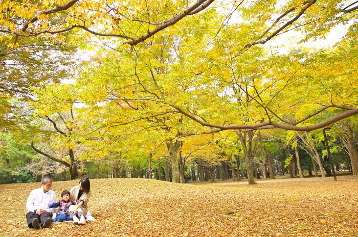 代々木公園ロケ撮影