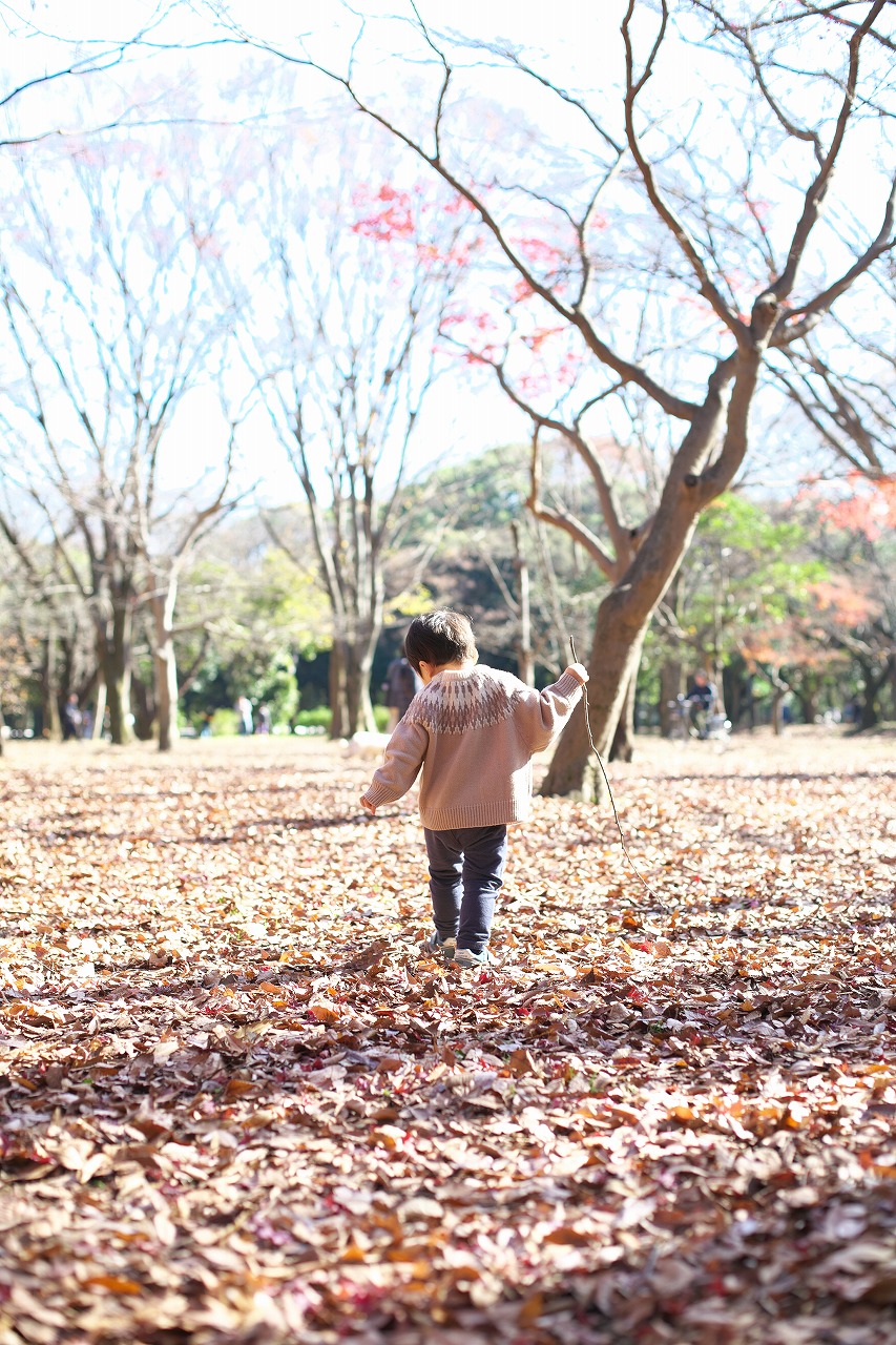 代々木公園プチロケ撮影,2歳男の子,代々木公園,秋