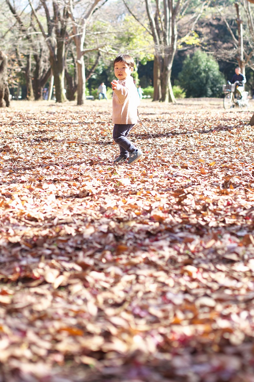 代々木公園プチロケ撮影,2歳男の子,代々木公園